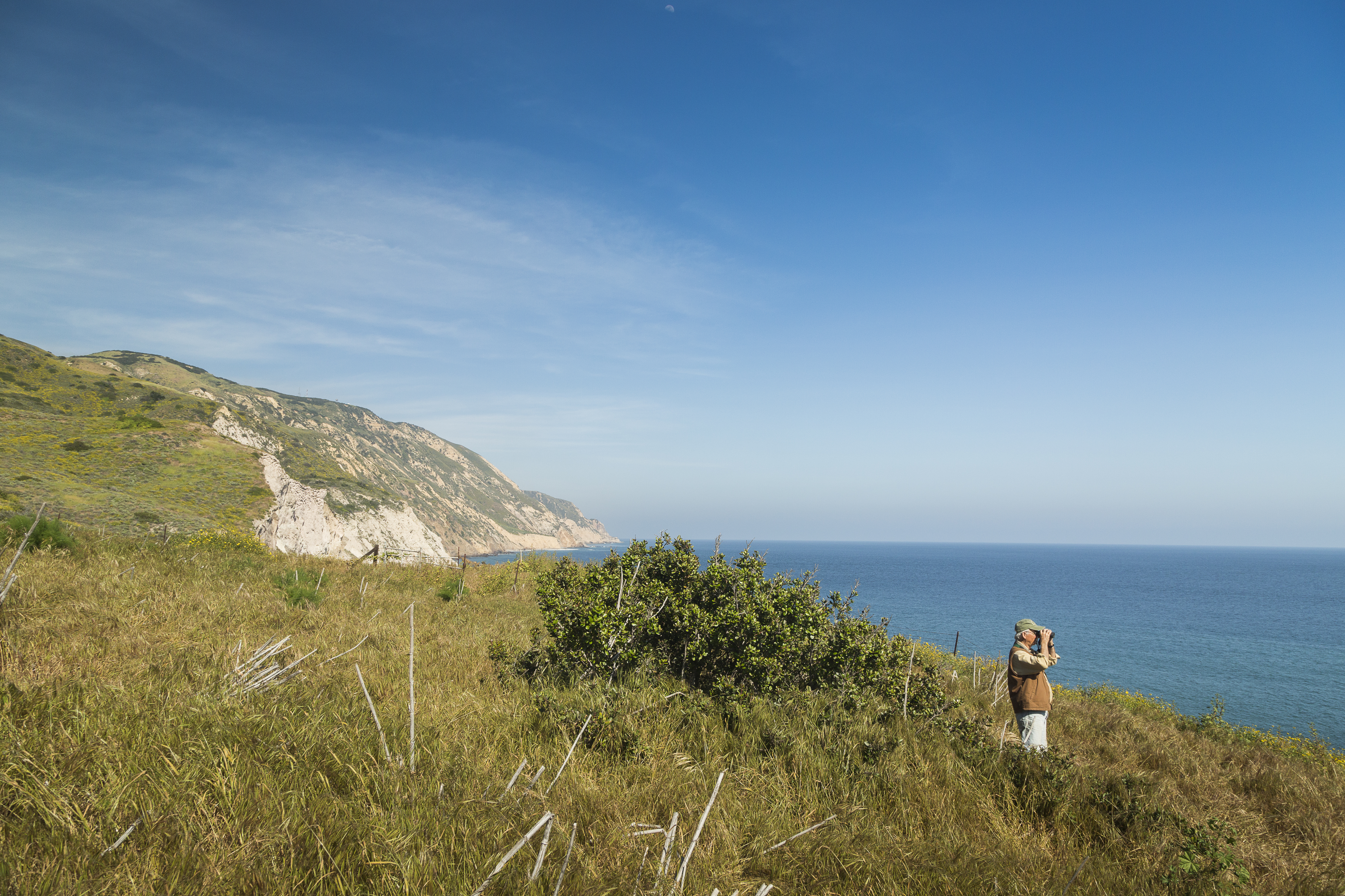 Ocean Overlook