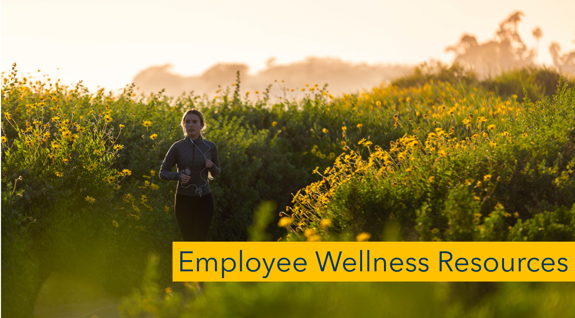 Employee Wellness Resources