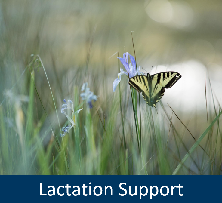 Lactation Support Program