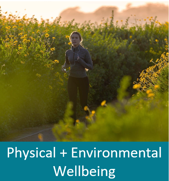 Physical and Environmental Wellbeing