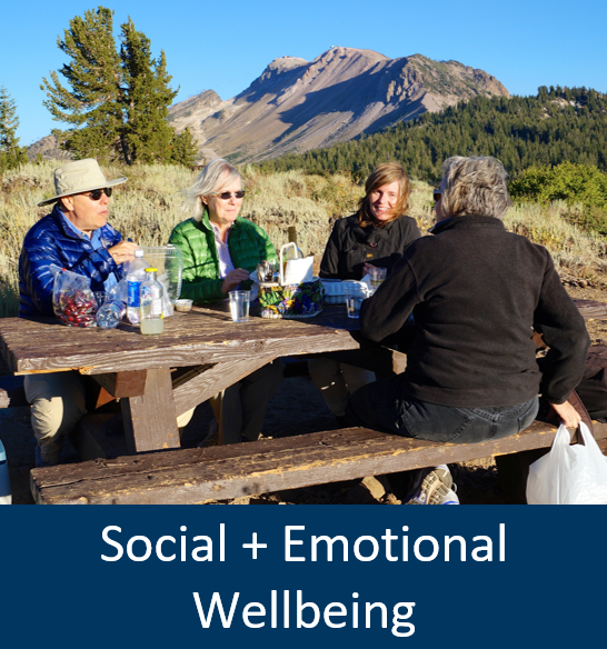 Social and Emotional Wellbeing