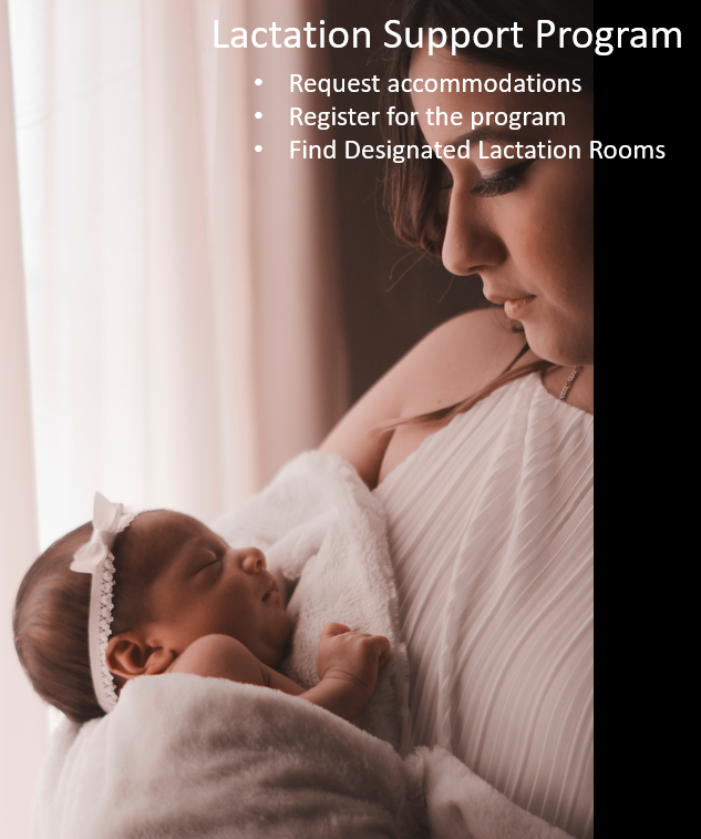 Lactation Support Program, request accommodations, register for program, find lacatation rooms