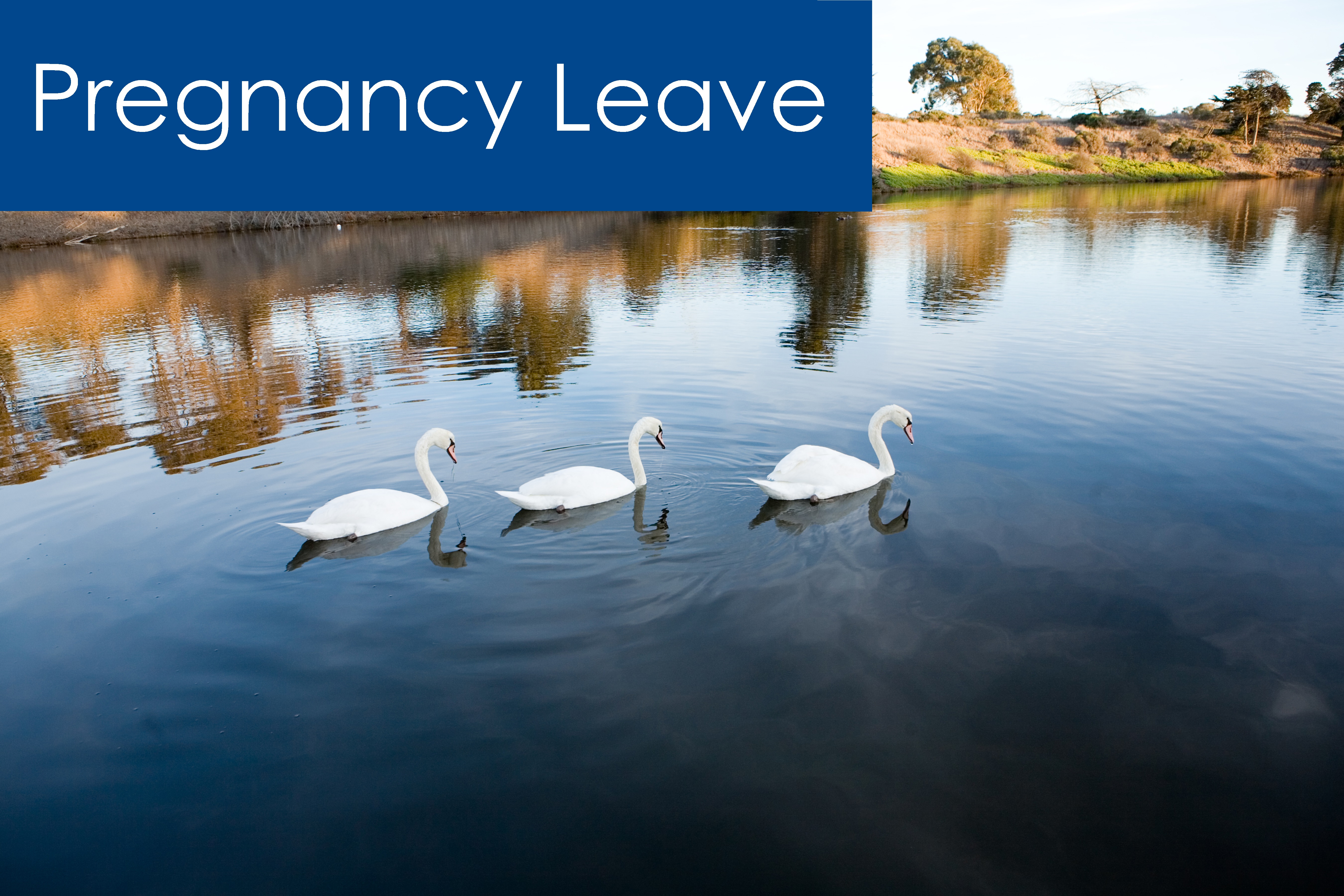 Pregnancy Leave